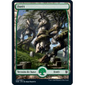 (Foil) Terrain - Forêt (V2) (L) [ZNR]