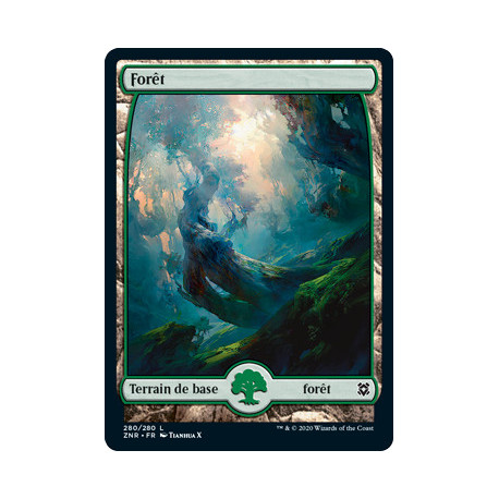 (Foil) Terrain - Forêt (V3) (L) [ZNR]