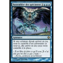 (Foil) Bleue - Rassembler des spécimens (R) [ALA]