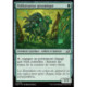 (Foil) Verte - Pollinisateur génomique (C) [EOE]
