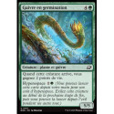 (Foil) Verte - Guivre en germination (C) [EOE]