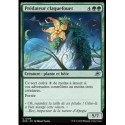 (Foil) Verte - Prédateur claquefouet (U) [EOE]