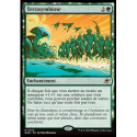 (Foil) Verte - Terrasymbiose (V1) (R) [EOE]