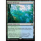 (Foil) Terrain - Bassin d'élevage (V1) (R) [EOE]