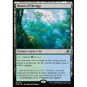 (Foil) Terrain - Bassin d'élevage (V1) (R) [EOE]