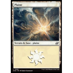 (Foil) Terrain - Plaine (V3) (L) [EOE]