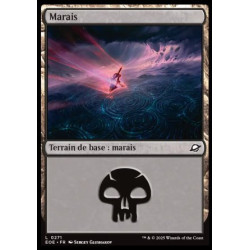 (Foil) Terrain - Marais (V2) (L) [EOE]
