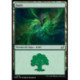 (Foil) Terrain - Forêt (V2) (L) [EOE]