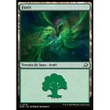 (Foil) Terrain - Forêt (V2) (L) [EOE]