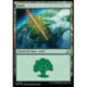 (Foil) Terrain - Forêt (V3) (L) [EOE]