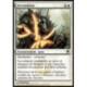 (Foil) Blanche - Arrestation (C) [SOM]