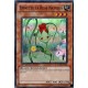 Epinette la Rose Naturia (SR) [HA02]
