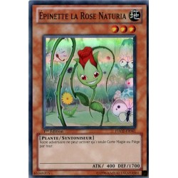 Epinette la Rose Naturia (SR) [HA02]