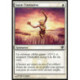 (Foil) Blanche - Saisir l'initiative (C) [SOM]