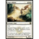 (Foil) Blanche - Ange solaire (R) [SOM]