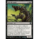 (Foil) Noire - Rats de sanie (U) [SOM]