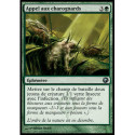 (Foil) Verte - Appel aux charognards (U) [SOM]