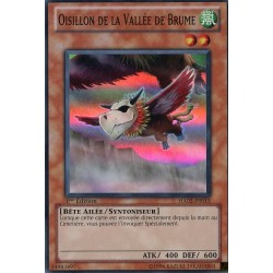 Oisillon de la Vallée de Brume (SR) [HA02]