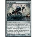(Foil) Incolore - Myr sanigriffe (C) [SOM]