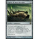 (Foil) Incolore - Capote de mort des nims (R) [SOM]