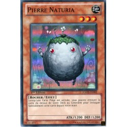 Pierre Naturia (SR) [HA02]