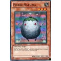 Pierre Naturia (SR) [HA02]