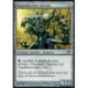 (Foil) Incolore - Reproduction sylvoke (C) [SOM]