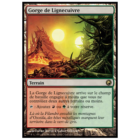 (Foil) Terrain - Gorge de Lignecuivre (R) [SOM]
