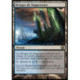 (Foil) Terrain - Rivages de Nappenoire (R) [SOM]
