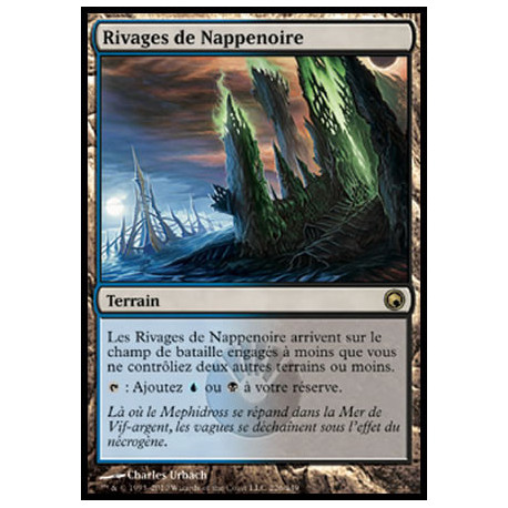 (Foil) Terrain - Rivages de Nappenoire (R) [SOM]