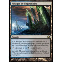 (Foil) Terrain - Rivages de Nappenoire (R) [SOM]