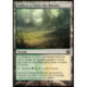 (Foil) Terrain - Halliers à l'Orée des Rasoirs (R) [SOM]