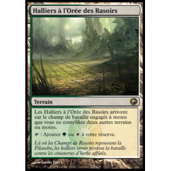 (Foil) Terrain - Halliers à l'Orée des Rasoirs (R) [SOM]