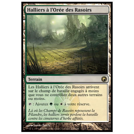 (Foil) Terrain - Halliers à l'Orée des Rasoirs (R) [SOM]