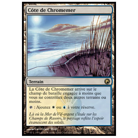 (Foil) Terrain - Côte de Chromemer (R) [SOM]