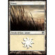 (Foil) Terrain - Plaine (V1) (L) [SOM]
