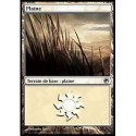 (Foil) Terrain - Plaine (V1) (L) [SOM]