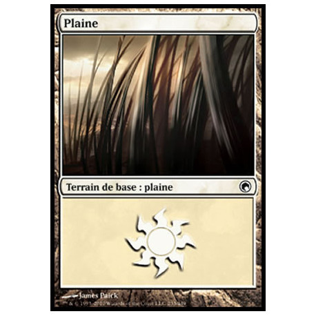 (Foil) Terrain - Plaine (V4) (L) [SOM]