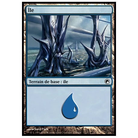 (Foil) Terrain - Île (V1) (L) [SOM]