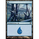 (Foil) Terrain - Île (V1) (L) [SOM]