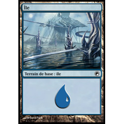 (Foil) Terrain - Île (V2) (L) [SOM]