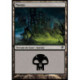 (Foil) Terrain - Marais (V1) (L) [SOM]