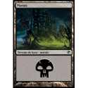 (Foil) Terrain - Marais (V1) (L) [SOM]