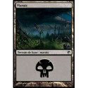 (Foil) Terrain - Marais (V2) (L) [SOM]