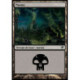 (Foil) Terrain - Marais (V3) (L) [SOM]