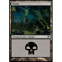 (Foil) Terrain - Marais (V3) (L) [SOM]