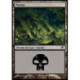 (Foil) Terrain - Marais (V4) (L) [SOM]