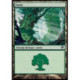 (Foil) Terrain - Forêt (V1) (L) [SOM]