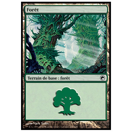 (Foil) Terrain - Forêt (V1) (L) [SOM]