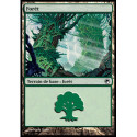(Foil) Terrain - Forêt (V1) (L) [SOM]